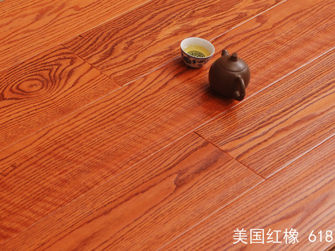 美國紅橡618